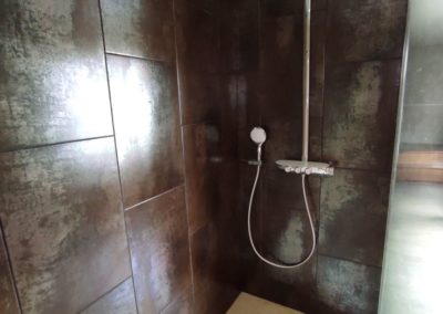 salle de bain_douche à rénover_poseur de douche